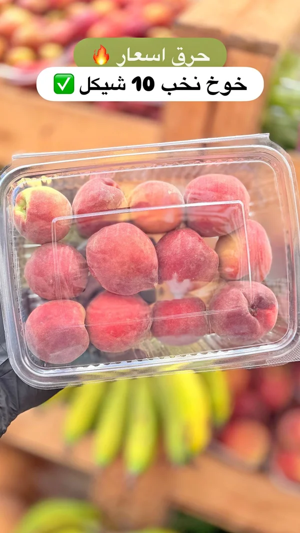 خوخ طازج نخب أول - مواد غذائية وبقالة - سوق غزة
