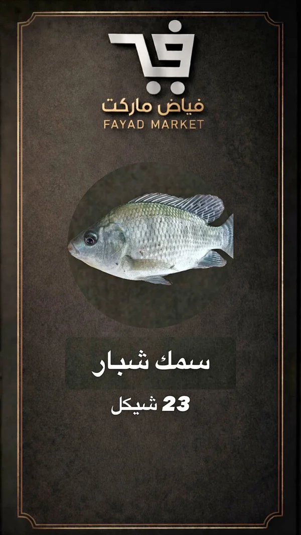 سمك شبار طازج - فياض ماركت - مواد غذائية وبقالة - سوق غزة