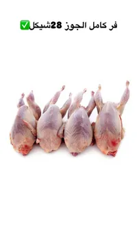 فر كامل الجوز 28 شيكل