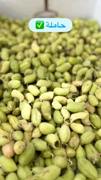 حمص أخضر طازج