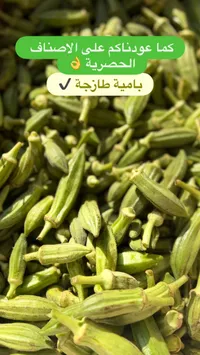 بامية طازجة