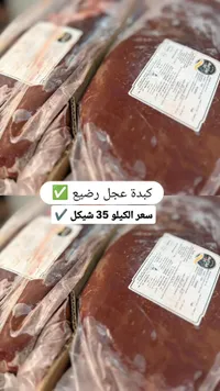 كبدة عجل رضيع - بيف كلوب (Beef Club) - سوق غزة