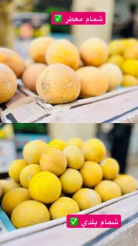 شمام بلدي معطر