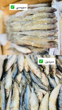سمك السردين والسويسي الطازج