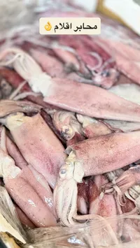 حبار طازج (كلماري)