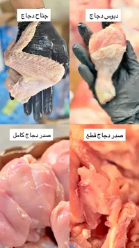 تشكيلة قطع دجاج طازجة