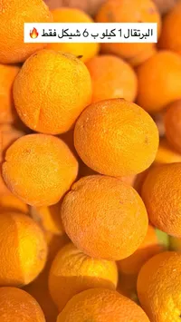برتقال طازج - سوق غزة