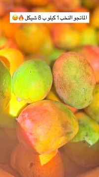 مانجو طازجة - النخب الأول - سوق غزة