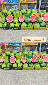 بطيخ طازج - سوق غزة