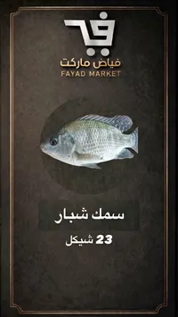 سمك شبار طازج - فياض ماركت - سوق غزة