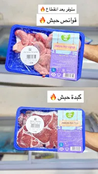 قوانص حبش - ذا هودو (The Hudo)