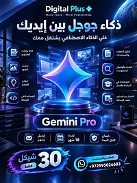 Gemini Pro 18 month