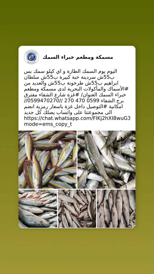 تشكيلة أسماك طازجة - مسمكة ومطعم خبراء السمك - أسماك ومأكولات بحرية - سوق غزة