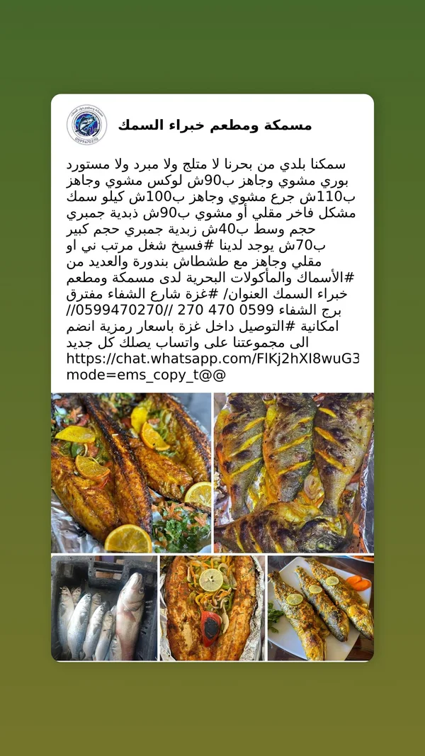 أسماك ومأكولات بحرية طازجة - مسمكة ومطعم خبراء السمك - أسماك ومأكولات بحرية - سوق غزة