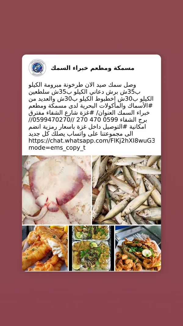 تشكيلة أسماك طازجة ومأكولات بحرية - مسمكة خبراء السمك - أسماك ومأكولات بحرية - سوق غزة