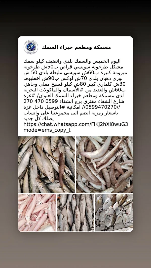 تشكيلة أسماك طازجة - مسمكة ومطعم خبراء السمك - أسماك ومأكولات بحرية - سوق غزة