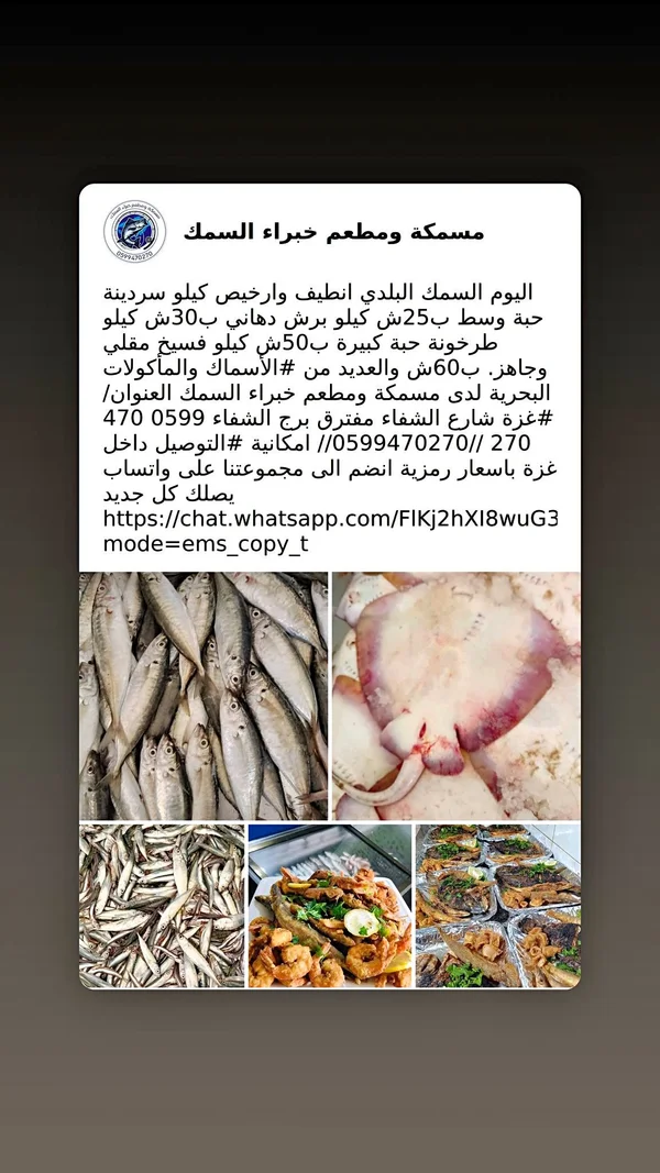 تشكيلة أسماك طازجة ومقلية - مسمكة خبراء السمك - أسماك ومأكولات بحرية - سوق غزة
