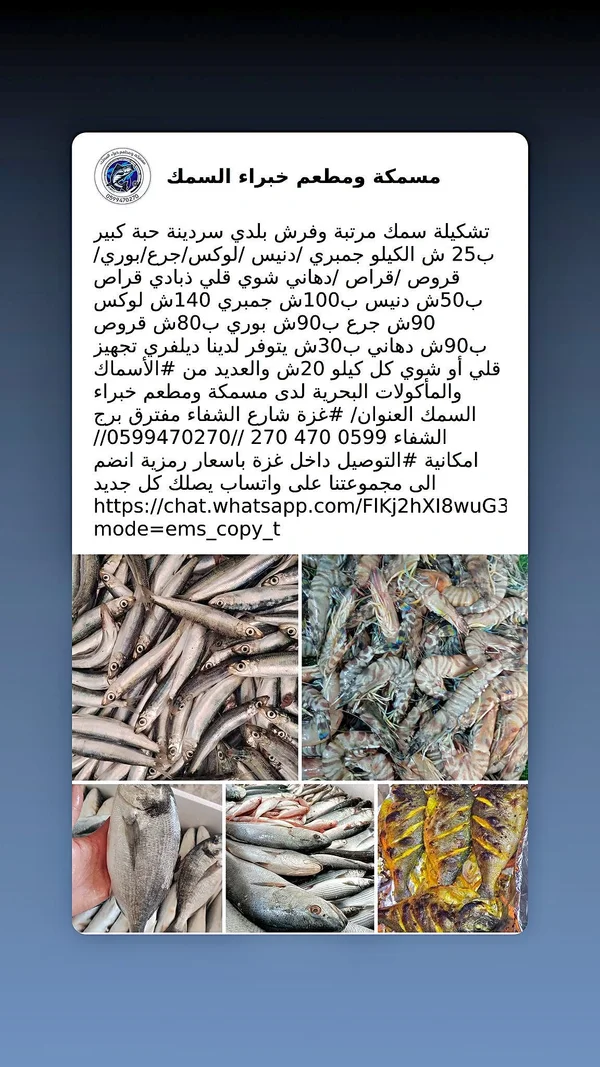 تشكيلة أسماك طازجة - مسمكة ومطعم خبراء السمك - أسماك ومأكولات بحرية - سوق غزة