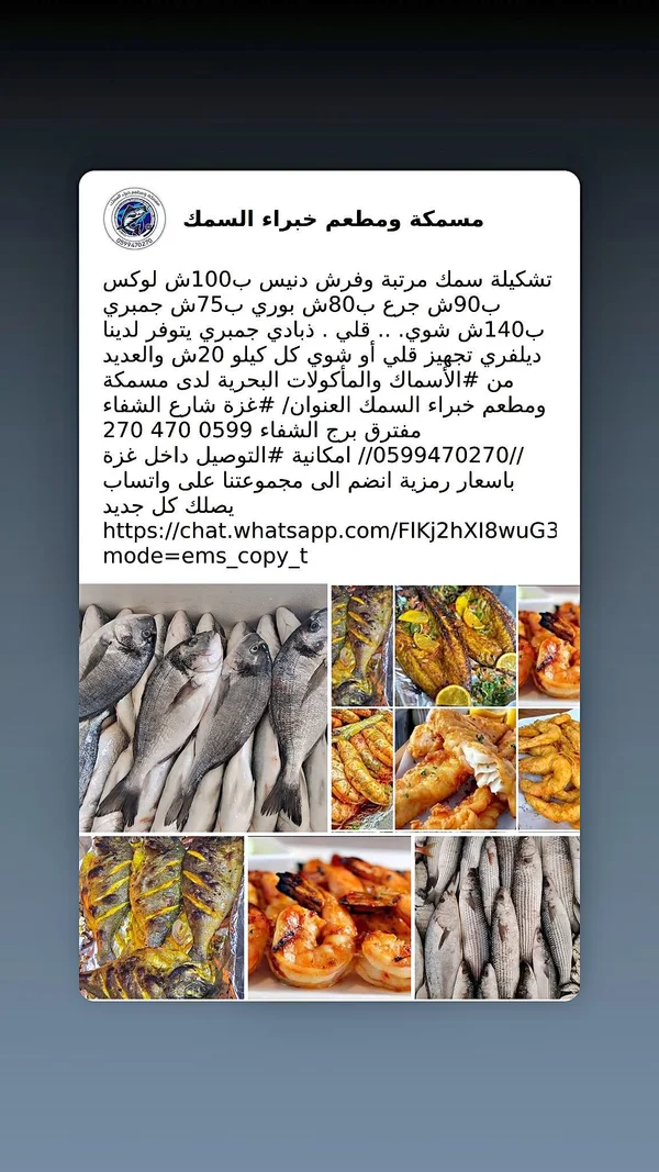 تشكيلة أسماك ومأكولات بحرية طازجة - مسمكة خبراء السمك - أسماك ومأكولات بحرية - سوق غزة