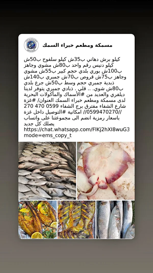 تشكيلة أسماك ومأكولات بحرية طازجة - مسمكة ومطعم خبراء السمك - أسماك ومأكولات بحرية - سوق غزة