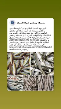تشكيلة أسماك طازجة - مسمكة ومطعم خبراء السمك - سوق غزة