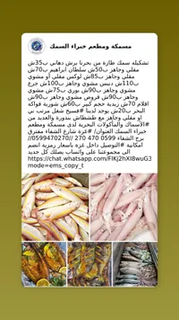 تشكيلة أسماك طازجة ومطهية - مسمكة ومطعم خبراء السمك - سوق غزة