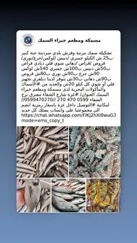 تشكيلة أسماك طازجة - مسمكة ومطعم خبراء السمك - سوق غزة