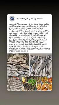 تشكيلة أسماك طازجة ومأكولات بحرية - مسمكة خبراء السمك