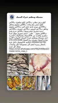 تشكيلة أسماك ومأكولات بحرية طازجة - مسمكة ومطعم خبراء السمك - سوق غزة