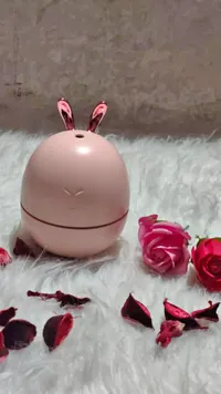 مرطب جو صغير بتصميم أرنب وردي
