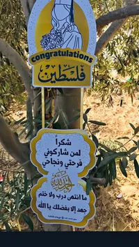 بطاقة توزيعات تخرج - توزيعات الفخامة