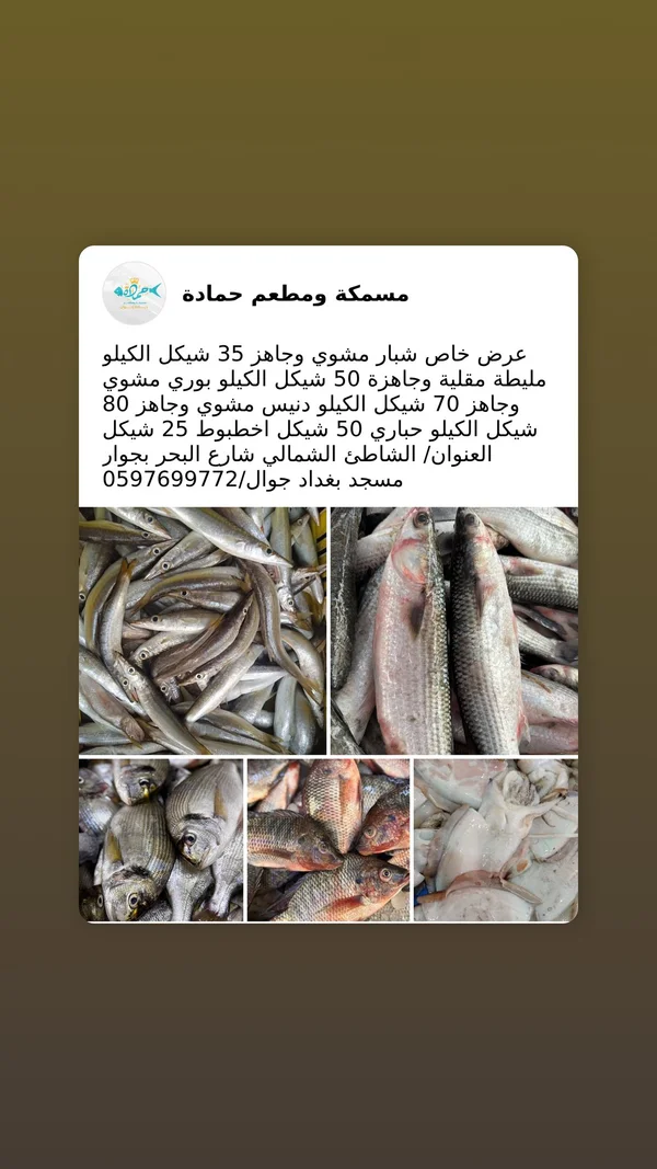 تشكيلة أسماك طازجة ومطهية - مسمكة ومطعم حمادة - أسماك ومأكولات بحرية - سوق غزة