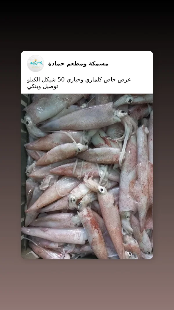 كلماري وحباري طازج - مسمكة ومطعم حمادة - أسماك ومأكولات بحرية - سوق غزة