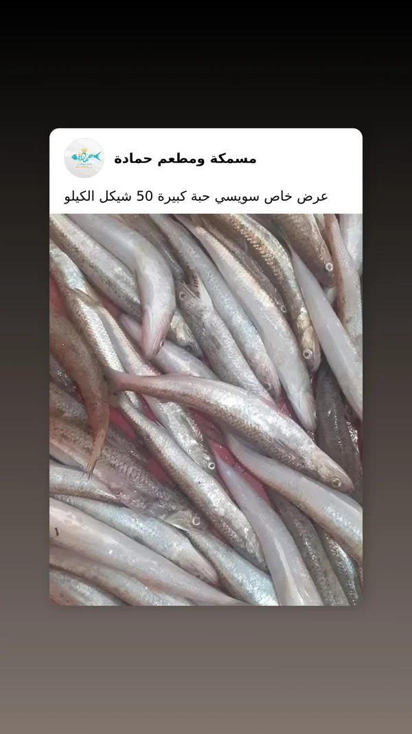 سمك سويسي طازج - مسمكة ومطعم حمادة - أسماك ومأكولات بحرية - سوق غزة