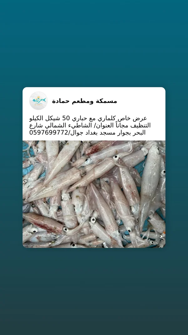 كلماري مع حباري طازج - مسمكة ومطعم حمادة - أسماك ومأكولات بحرية - سوق غزة
