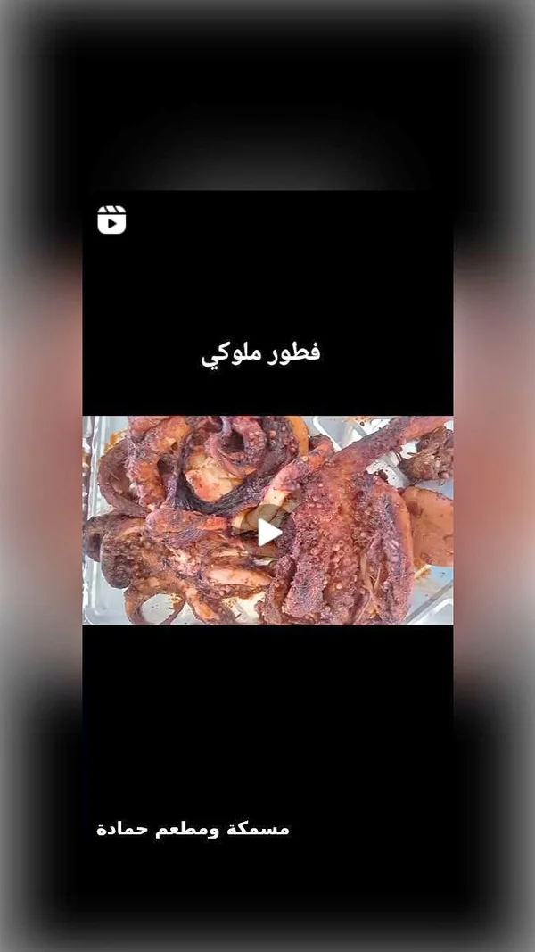 أخطبوط مشوي - مسمكة ومطعم حمادة - أسماك ومأكولات بحرية - سوق غزة