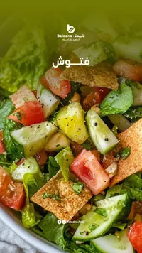فتوش - بلادنا