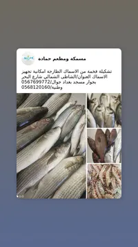 أسماك طازجة متنوعة - مسكة ومطعم حمادة