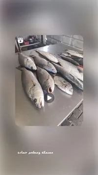 أسماك طازجة طبيعية - مشكة ومطعم حمادة