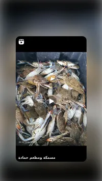 مشكة ومطعم حمادة - مجموعة أسماك وبحريات طازجة