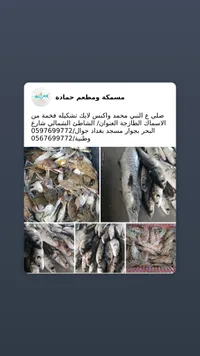 مشكلة ومطعم حمادة - أسماك وثروة سمكية طازجة