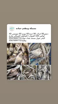 مشكة ومطعم حمادة - أسماك طازجة وبحريات