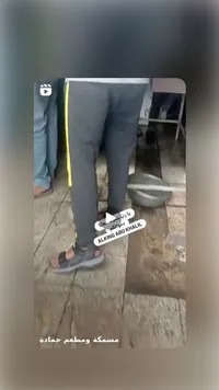 مأكولات بحرية وأسماك طازجة - مسمكة ومطعم حمادة