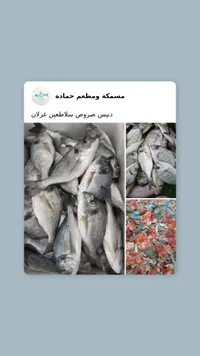 تشكيلة سمك طازة - مسمكة ومطعم حمادة