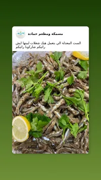 مشكلة ومطاعم حمادة - تشكيلة سمك