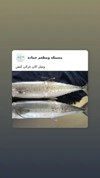 تشكيلة سمك طازة - مسمكة ومطعم حمادة
