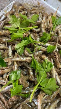 تشكيلة سمك طازة