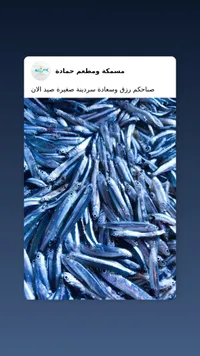 مسكة ومطعم حمادة - تشكيلة سمك