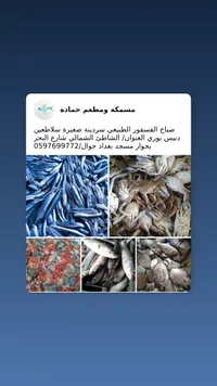تشكيلة سمك حمادة
