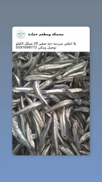 سمك سردين صغير - مسمكة ومطعم حمادة - سوق غزة